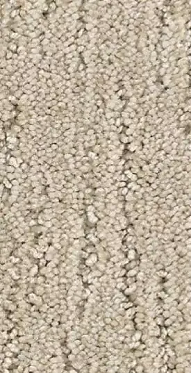 Soft carpet | Rayo Wholesale