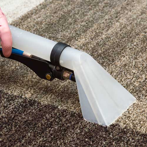 Carpet care | Rayo Wholesale