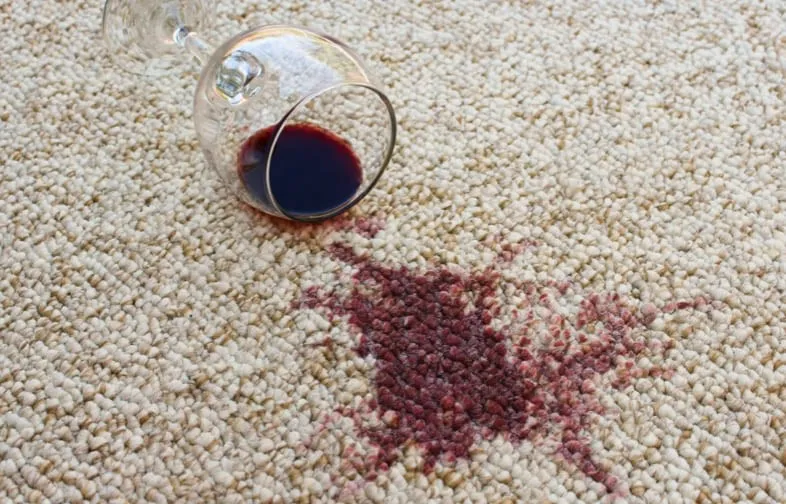 Carpet care Carpet flooring | Rayo Wholesale