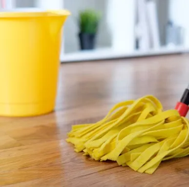 Vinyl care | Rayo Wholesale